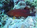 DSC00317.JPG