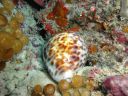 DSC00318.JPG