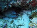DSC00319.JPG