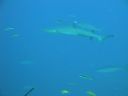 DSC00327.JPG