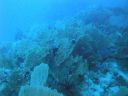 DSC00330.JPG