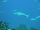 DSC00336.JPG