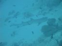 DSC00386.JPG