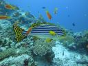 DSC00389.JPG