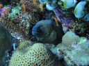 DSC00393.JPG