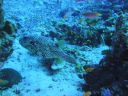 DSC00405.JPG