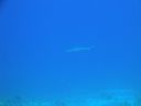 DSC00407.JPG