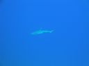 DSC00409.JPG