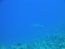 DSC00410.JPG