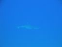 DSC00413.JPG