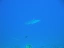 DSC00414.JPG