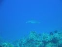 DSC00416.JPG