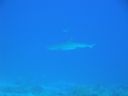 DSC00418.JPG