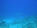 DSC00419.JPG