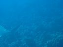 DSC00426.JPG