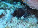 DSC00427.JPG