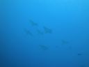 DSC00433.JPG