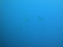DSC00434.JPG