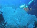 DSC00435.JPG