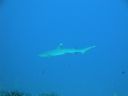 DSC00442.JPG