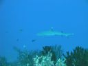 DSC00443.JPG