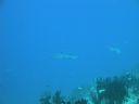 DSC00447.JPG