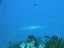 DSC00448.JPG