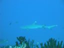 DSC00449.JPG
