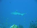 DSC00450.JPG
