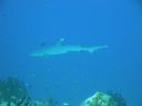 DSC00451.JPG