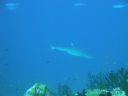 DSC00456.JPG