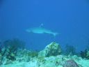 DSC00458.JPG