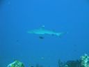 DSC00459.JPG