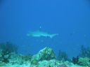 DSC00460.JPG