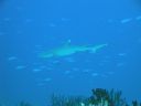 DSC00464.JPG