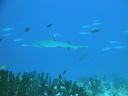 DSC00465.JPG