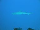 DSC00467.JPG
