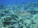 DSC00510.JPG