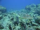 DSC00511.JPG