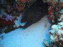 DSC00513.JPG