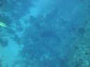 DSC00543.JPG