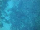 DSC00544.JPG
