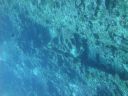DSC00554.JPG