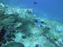 DSC00556.JPG