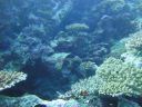 DSC00576.JPG