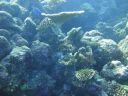 DSC00587.JPG