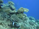 DSC00604.JPG
