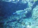 DSC00609.JPG