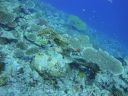 DSC00627.JPG