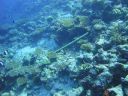 DSC00629.JPG